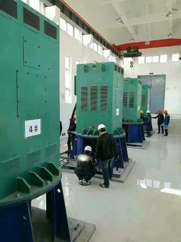 YJTGKK5601-6某污水处理厂使用我厂的立式高压电机安装现场