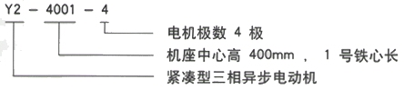 YR系列(H355-1000)高压YJTGKK5601-6三相异步电机西安西玛电机型号说明